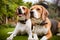 Pair of beagles laying down on grass