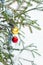 Pair of beautiful glass balls red and gold hanging on a snow background, festive design