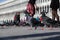 A pair of beautiful pigeons walk along Piazza San Marco in Venice. Close-up, selective focus