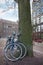 A pair of bicycles under a tree on Prinsengracht street