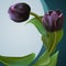 Pair of the Black tulips in beautiful green frame. Unique banner