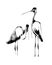A pair of black and white herons, stylized vector illustration