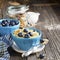 Pair of blue ceramic bowls full breakfast cereal with fresh blueberries and milk