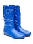 Pair of blue female boots