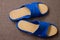 Pair of blue home slippers with leather insoles. Top view.