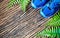 Pair of blue running shoes laid on a grunge wooden floor background with nature ferns, top view with copy space