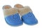 Pair of blue slippers