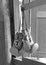 Pair of boxing gloves Hanging on wooden. Black and white tone