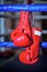 A pair boxing gloves hangs off ring