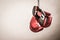 Pair of boxing gloves photograph