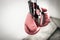 Pair of boxing gloves photograph