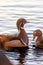 A pair of breeding male and female wood ducks (Aix sponsa) with crested head in shallow water