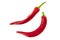 Pair bright red chilli peppers long twisted pod on white isolated background culinary background