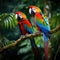 A pair of brilliantly colored macaws perch atop a branch