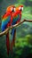 A pair of brilliantly colored macaws perch atop a branch