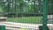 Pair of brown bear in zoo captivity cage