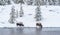 Pair of brown bison grazing by shoreline of Firehole River