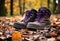 a pair of brown boots with purple laces on leaves