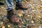 A pair of brown hiking boot in autumn forest. Soft focus on boot