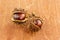 Pair of brown and old cracked chestnuts on a dark wooden background