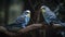 Pair of budgerigars. Generative AI