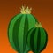 Pair of cactus on terracotta background