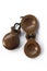 A pair of castanets