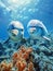 A pair of cheerful dolphins dances through the sunlit waters above a coral reef, creating a mesmerizing spectacle of