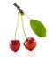 A pair of cherries with a leaf
