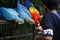 A pair of colorful parrots eating seeds from the hand of a person