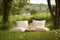 a pair of comfortable cushions set amidst a lush meadow