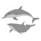 Pair of Common bottlenose dolphins. Dolphins Tursiops truncatus swim in the water