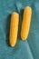 Pair of corn cobs on a dark green tablecloth background