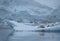 A Pair of Crabeater Seals