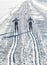 Pair of cross-country skiers