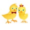 A pair of cute chickens. Chicken boy and chicken girl in cartoon style.