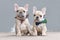 Pair of cute lilac fawn colored French Bulldog dog puppies wearing bow ties while appearing to hold hands