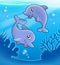 Pair of cute playing dolphins