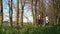 A pair of cyclists walking through the forest and rolling bicycles