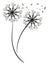 Pair of a dandelion silhouette vector or color illustration