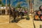 A pair of dark-bay horses harnessed to a traditional carriage and two coachmen at the equestrian fair in the Jerez de la Frontera,