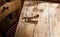 Pair of deer antlers lying on a rustic table