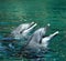 Pair of dolphins