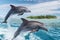 pair of dolphins leaping by a tropical island