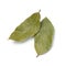 Pair of dried laurel bay leaves