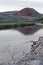 Pair of Ducks swimming in the Bighorn River near Thermopolis Wyoming