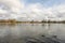 A pair of ducks taking a walk by the lake of the Casa de Campo in Madrid one day in autumn