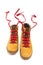 pair of durable leather walking boots on a white background isolated. Stylish sporty dynamic accessory for adventures. Classic