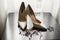 Pair of elegant and stylish bridal shoes