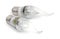 Pair energy saving LED light-emitting diode candle bulbs with socket type E27 isolated on a white background, close up